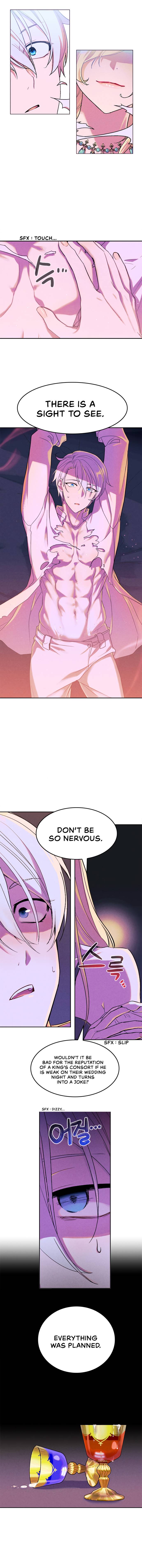 The Predatory Marriage Between the King and the Paladin chapter 3 - page 7