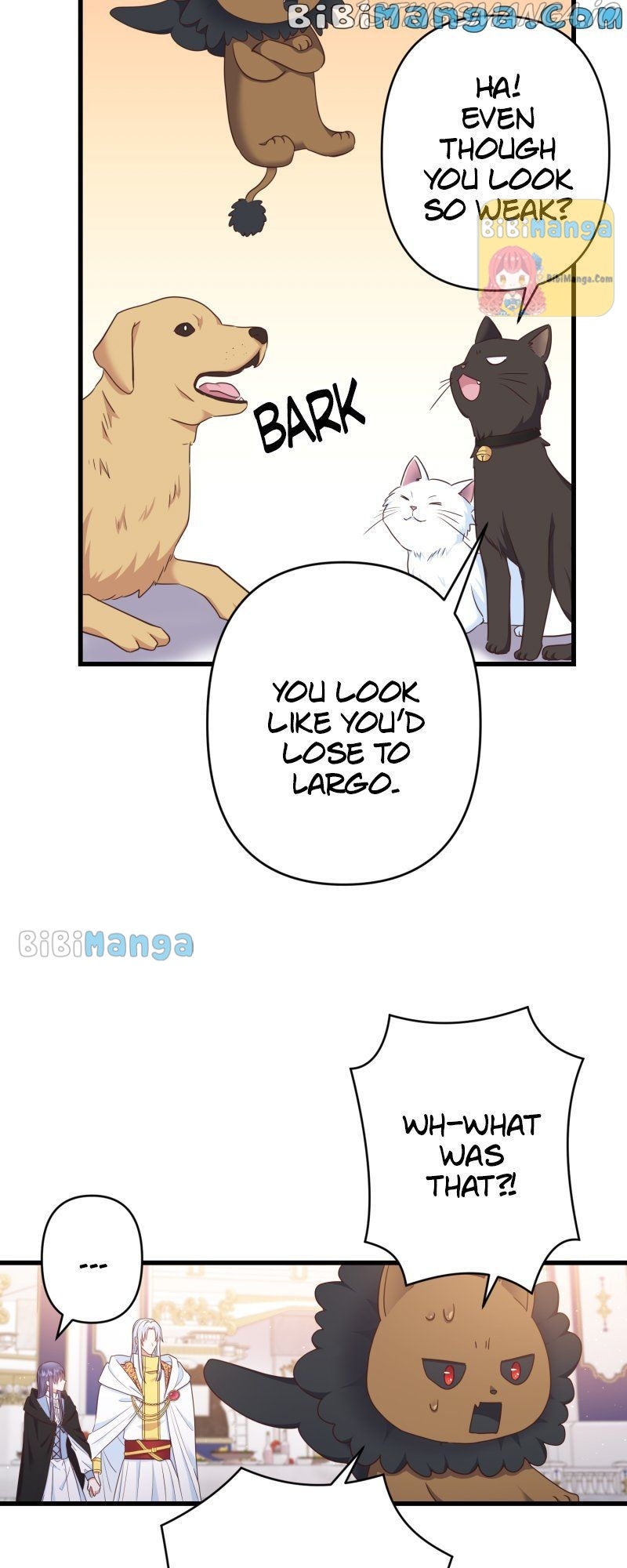 A Twist of Fate: A Wizard’s Fairy Tale Chapter 52 - page 42