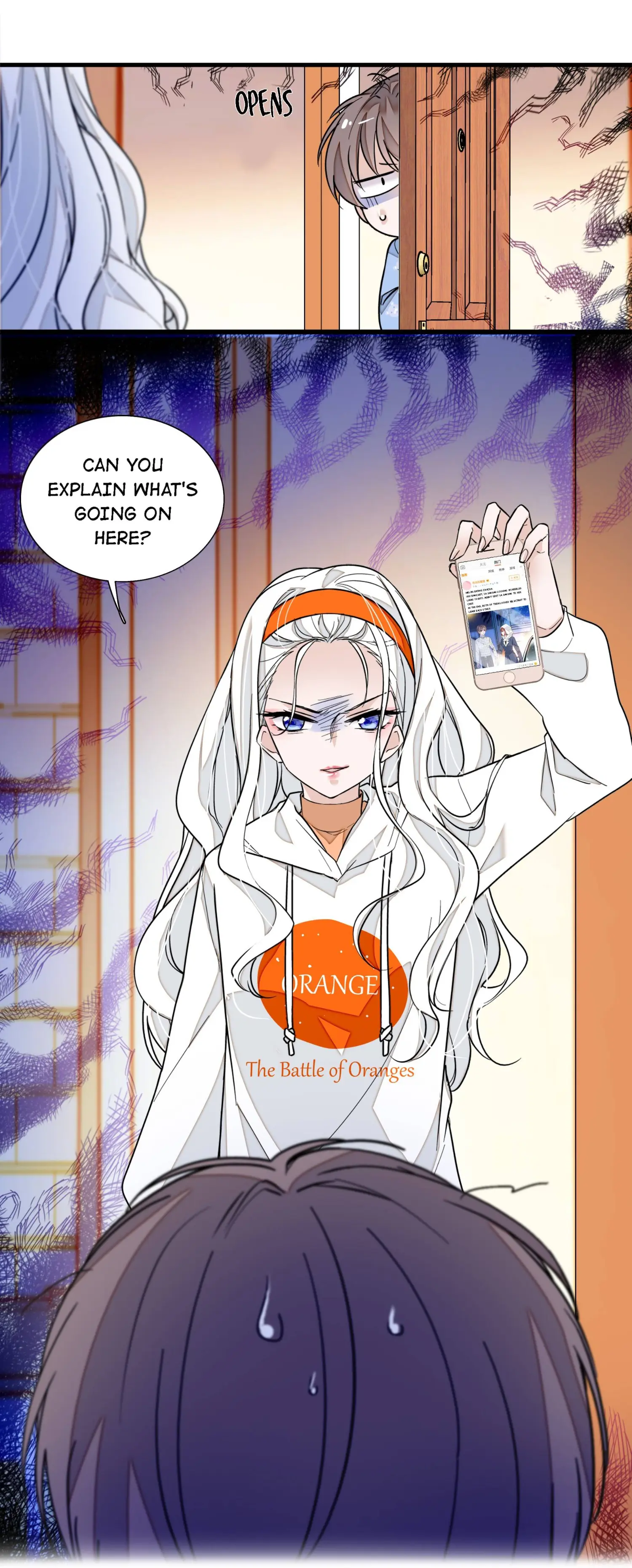Dragon and Phoenix flip Chapter 50 - page 19