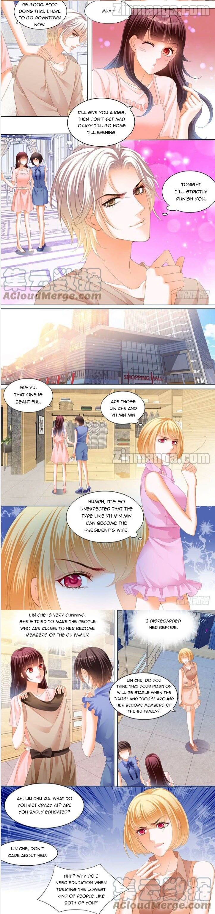 THE BEAUTIFUL WIFE OF THE WHIRLWIND MARRIAGE chapter 219 - page 3