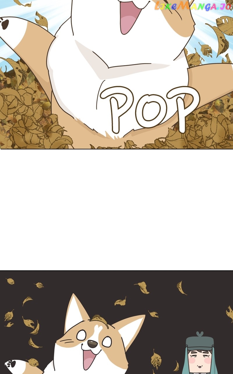 The Dog Diaries Chapter 118 - page 11