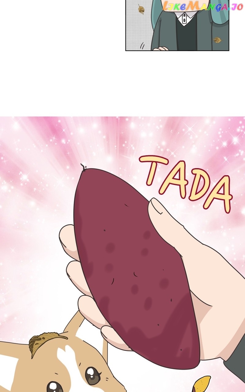 The Dog Diaries Chapter 118 - page 13