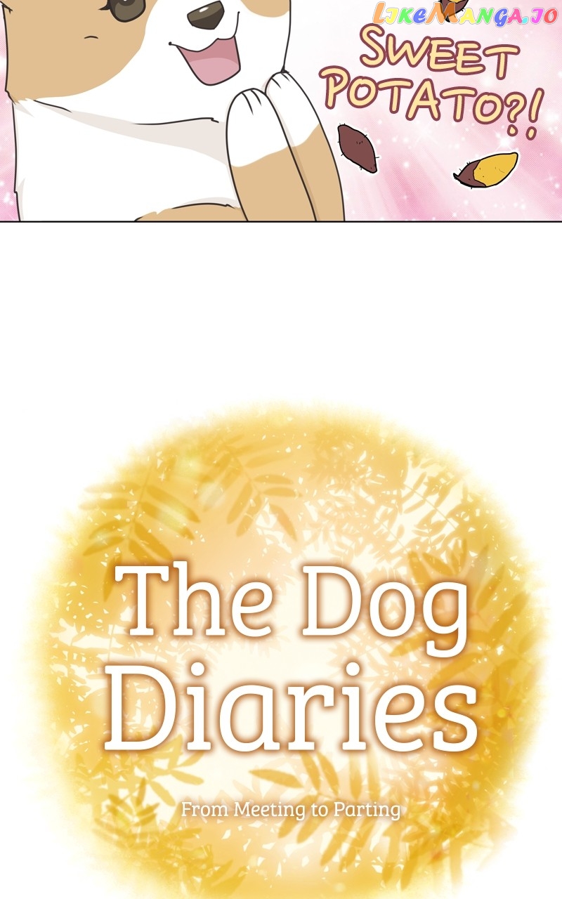 The Dog Diaries Chapter 118 - page 14