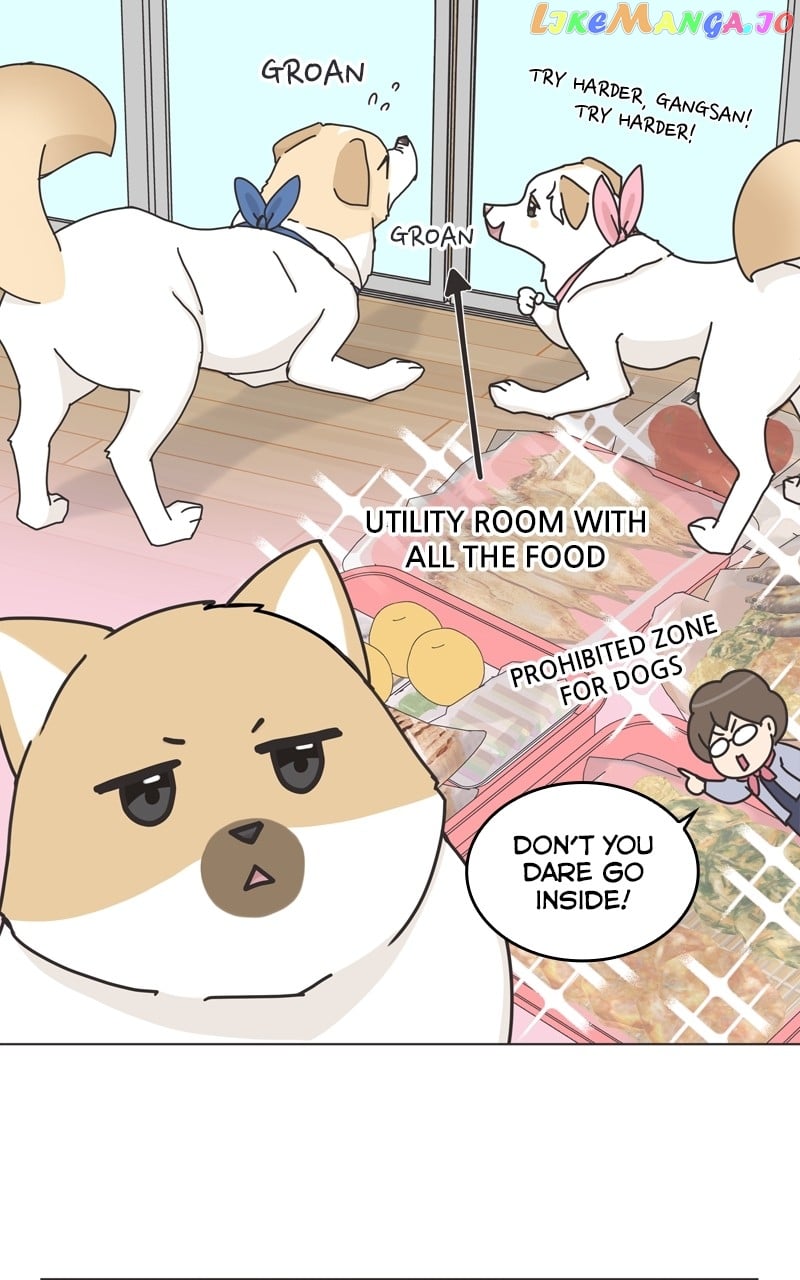 The Dog Diaries Chapter 118 - page 22