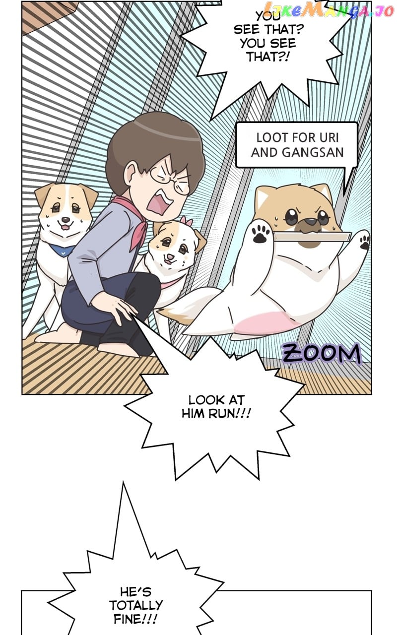 The Dog Diaries Chapter 118 - page 30