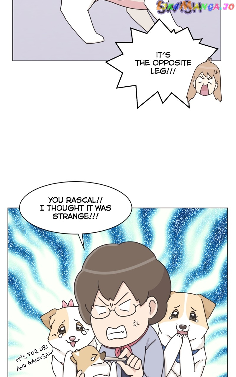 The Dog Diaries Chapter 118 - page 32
