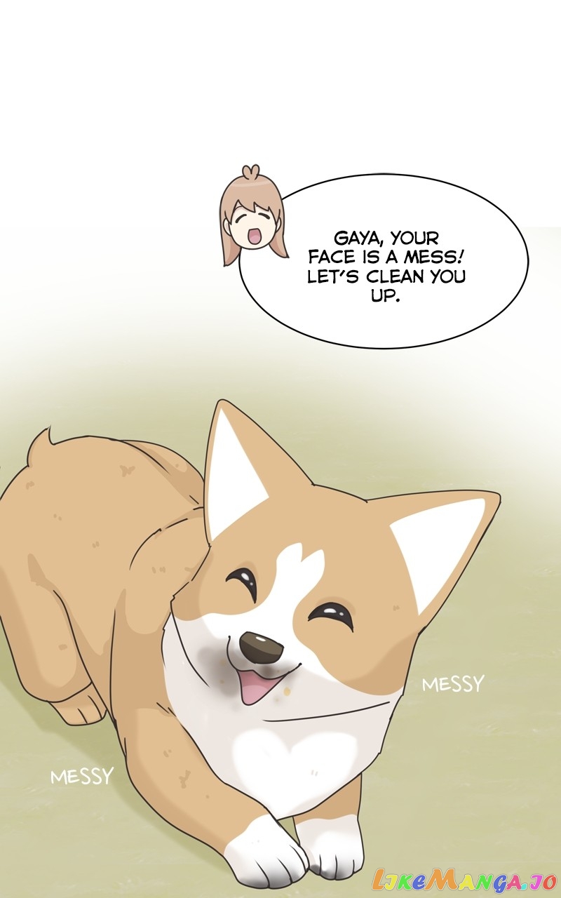 The Dog Diaries Chapter 119 - page 1