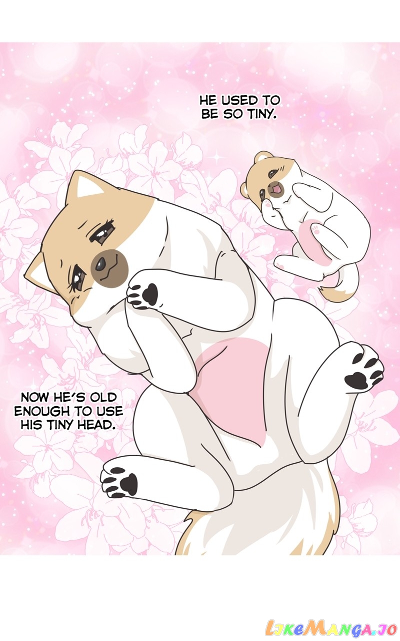 The Dog Diaries Chapter 119 - page 18