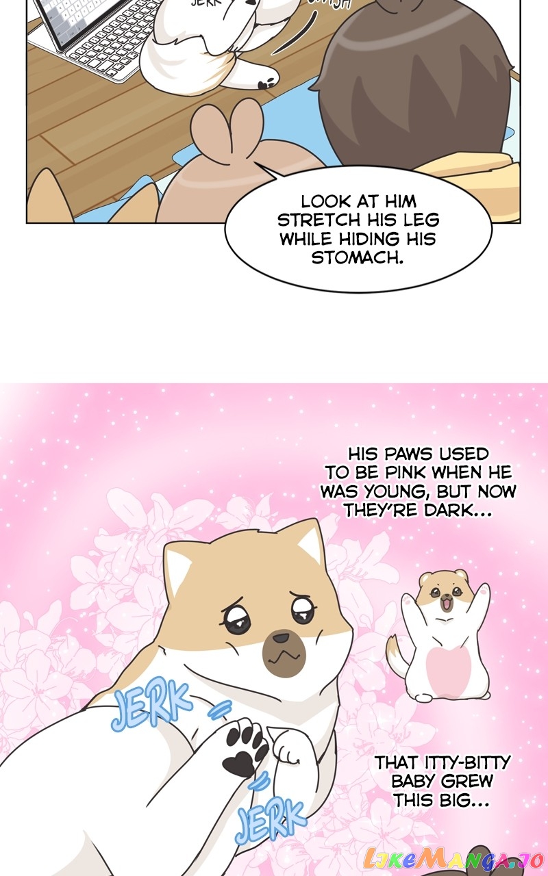 The Dog Diaries Chapter 119 - page 22