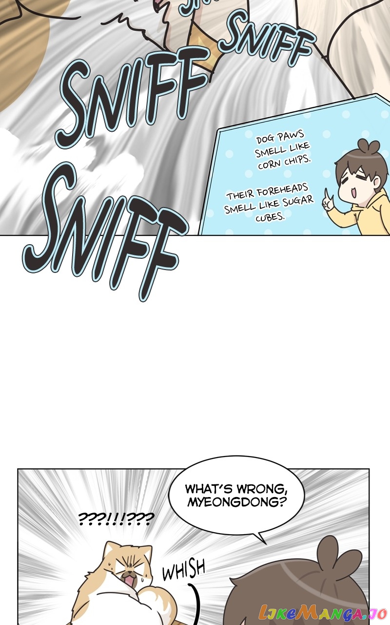 The Dog Diaries Chapter 119 - page 25