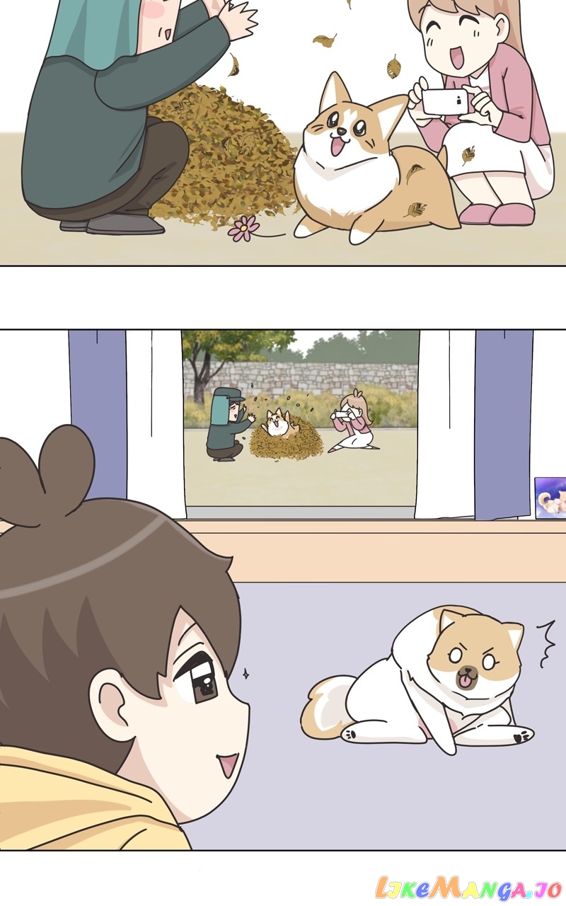 The Dog Diaries Chapter 119 - page 41