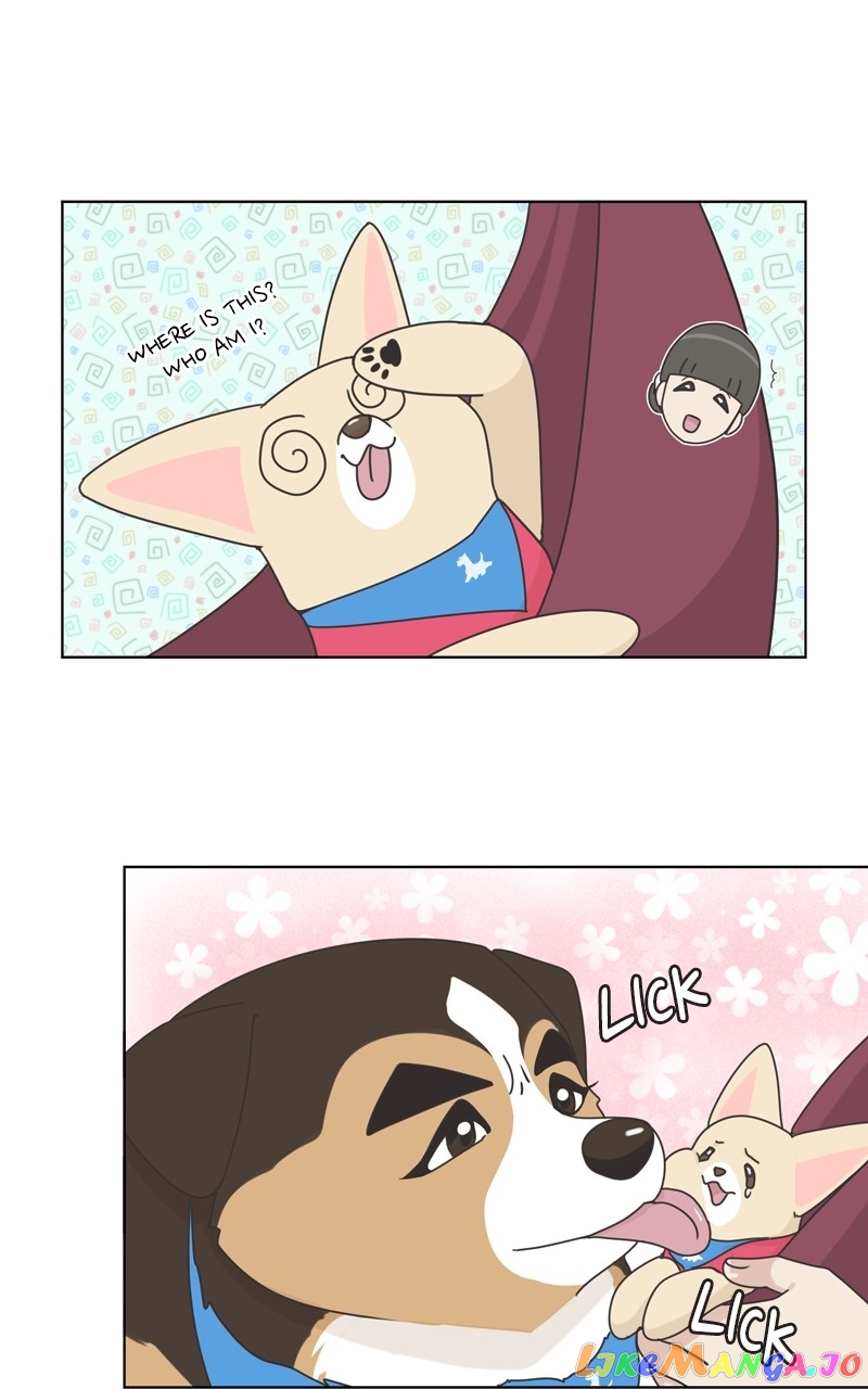 The Dog Diaries Chapter 119 - page 69