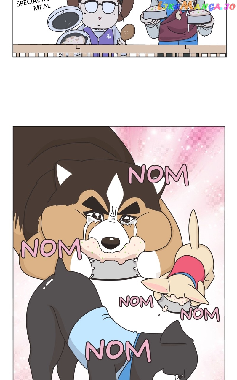The Dog Diaries Chapter 120 - page 48