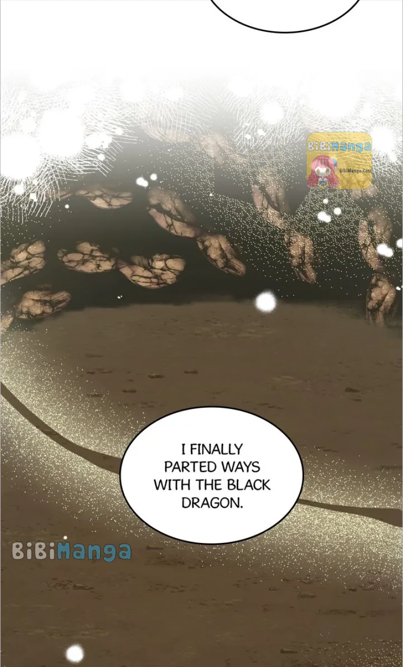 How to Get Rid of My Dark Past? Chapter 81 - page 78