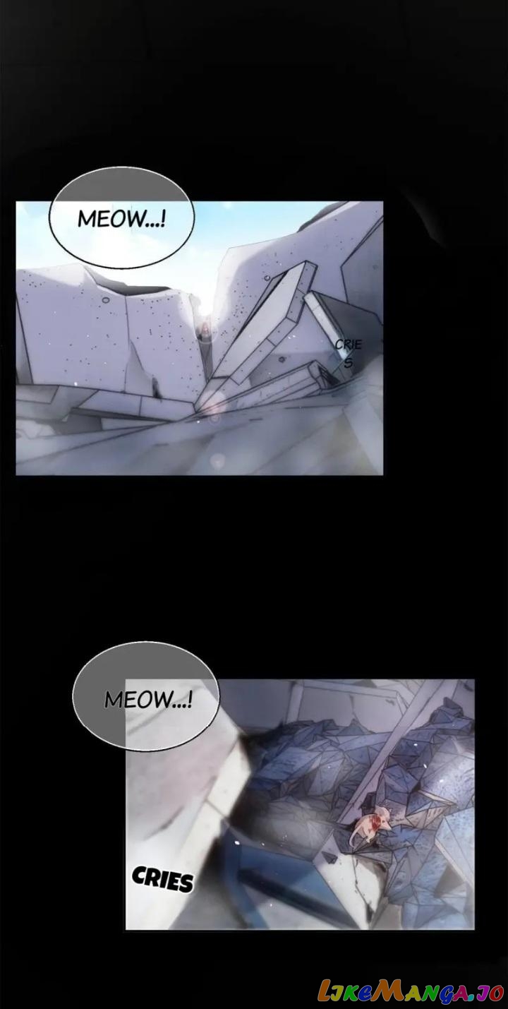 I Have To Work Hard As A Cat Today Chapter 51 - page 11