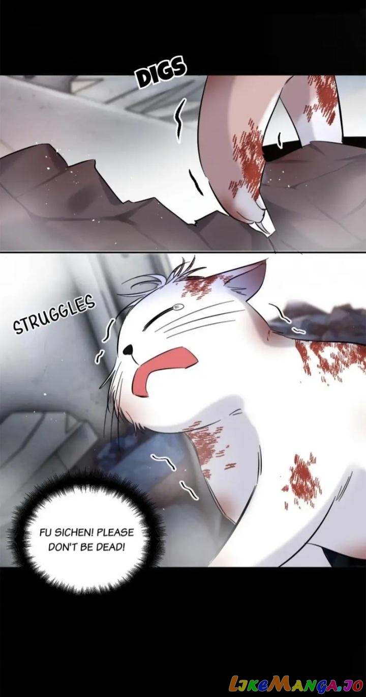 I Have To Work Hard As A Cat Today Chapter 51 - page 12