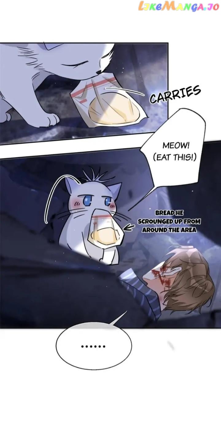 I Have To Work Hard As A Cat Today Chapter 54 - page 12