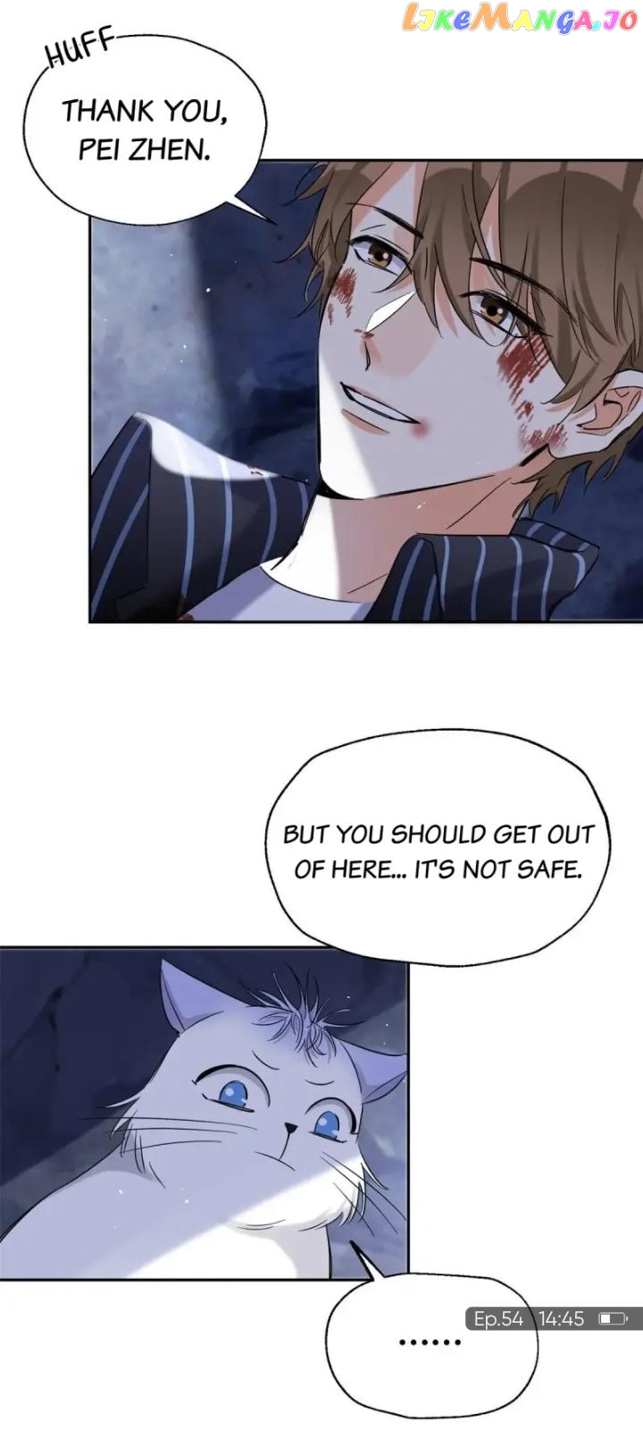 I Have To Work Hard As A Cat Today Chapter 54 - page 13