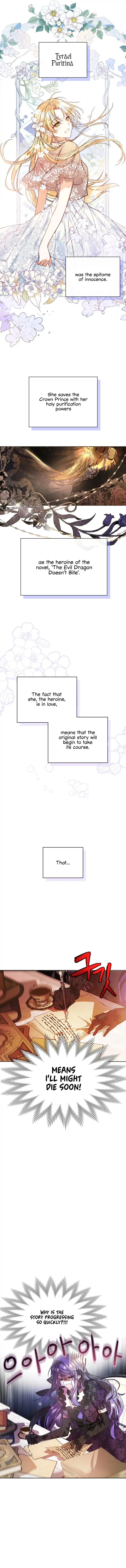 The Heroine Had an Affair with My Fiance Chapter 1 - page 4