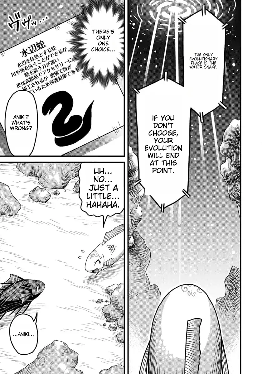 Tensei Shitara Kozakana datta kedo Ryuu ni Nareru Rashii node Ganbarimasu Chapter 6 - page 16
