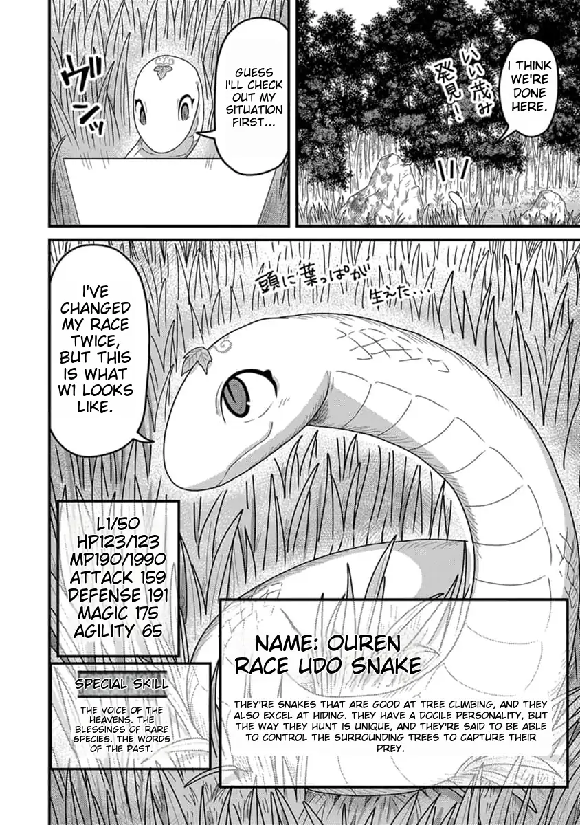 Tensei Shitara Kozakana datta kedo Ryuu ni Nareru Rashii node Ganbarimasu Chapter 13 - page 13