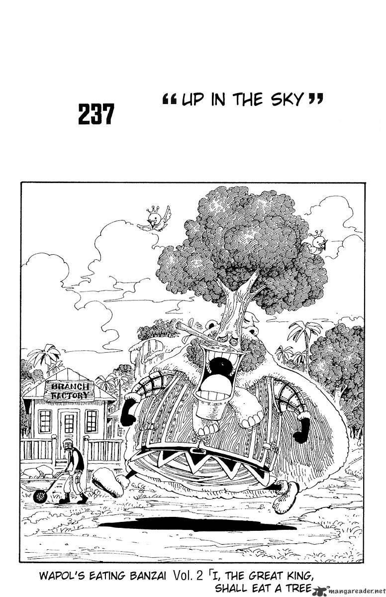 One Piece chapter 237 - page 12