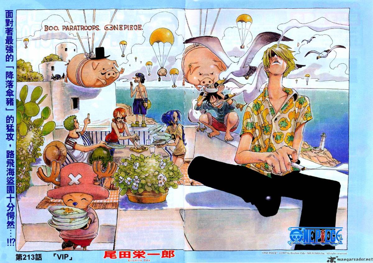 One Piece chapter 213 - page 1