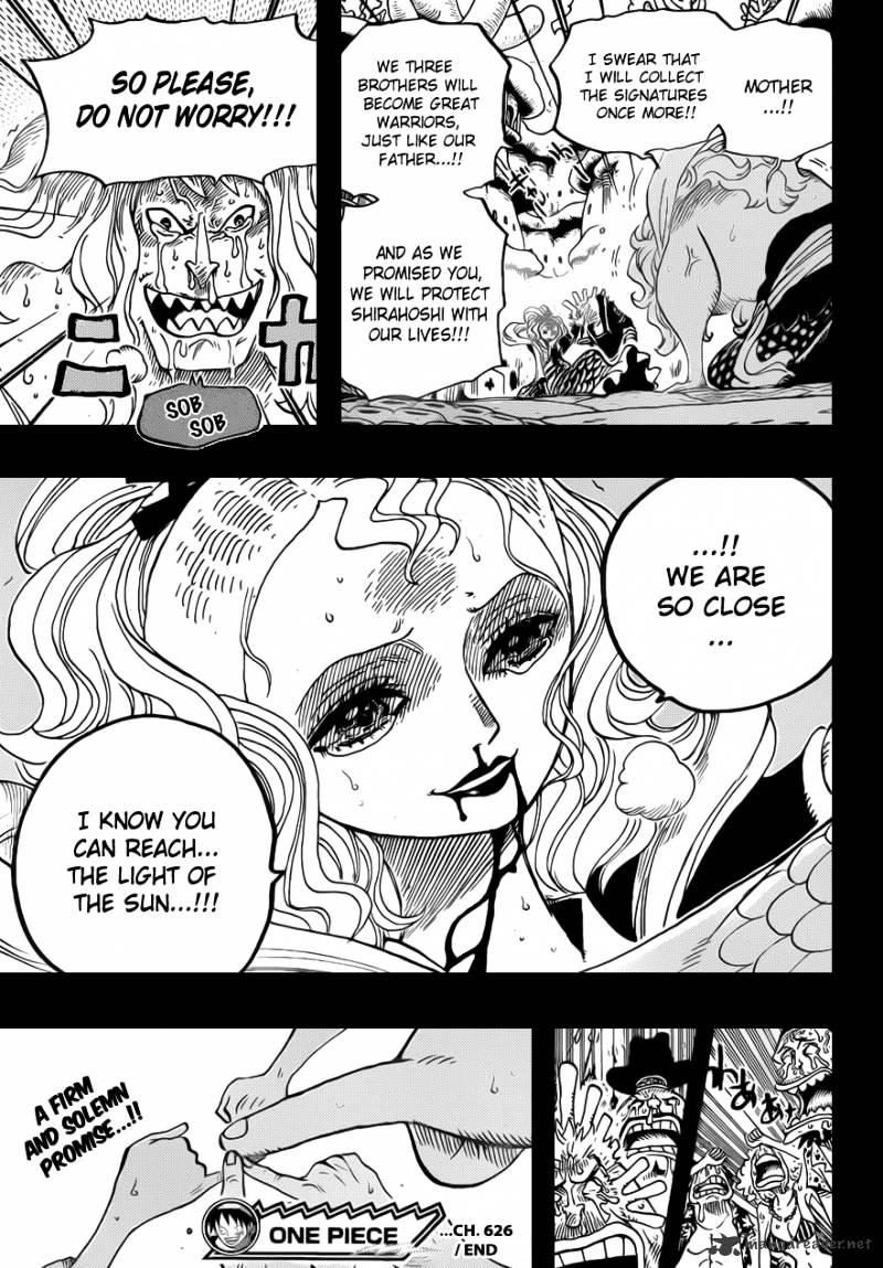 One Piece chapter 626 - page 20