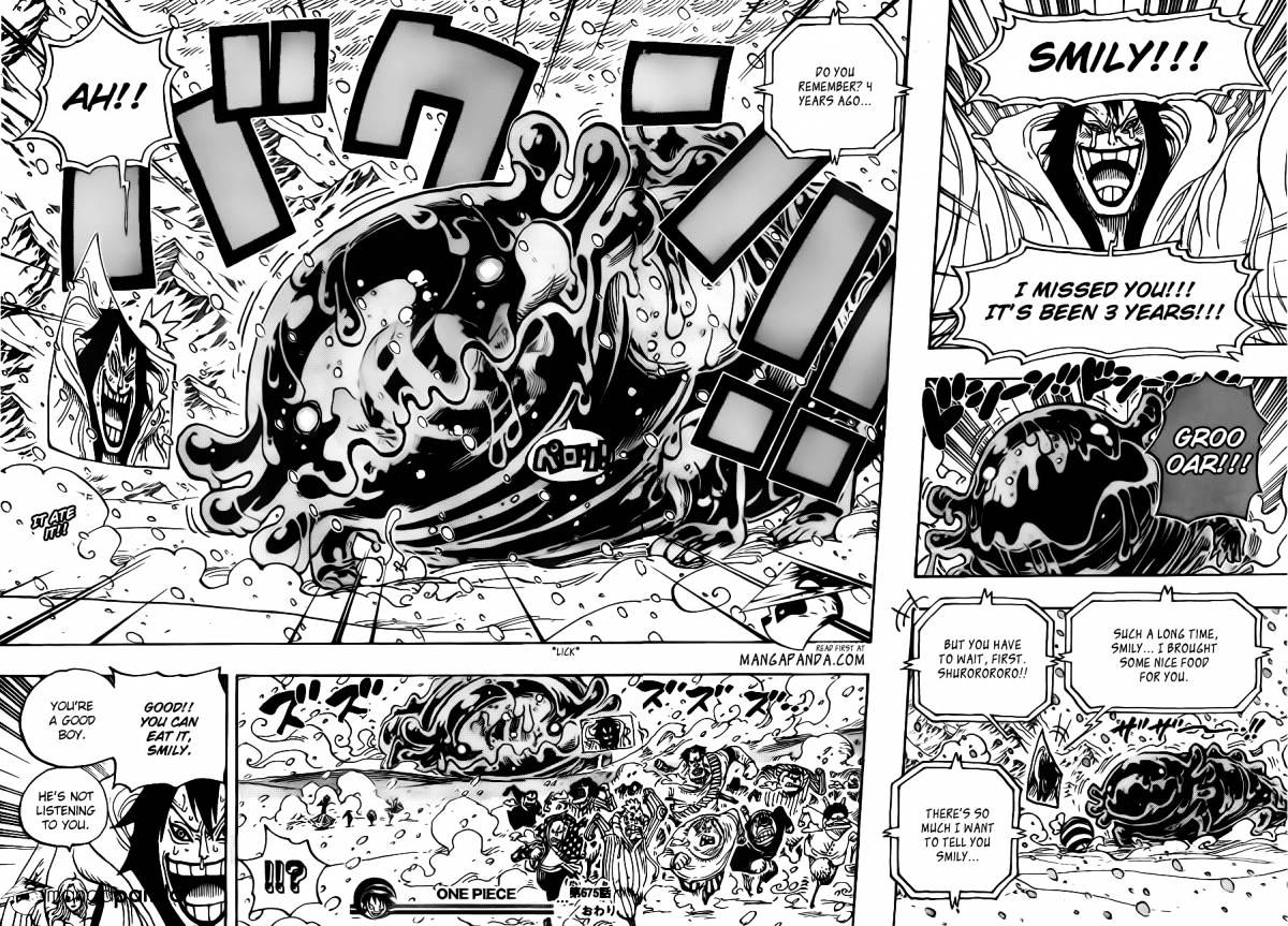One Piece chapter 675 - page 18