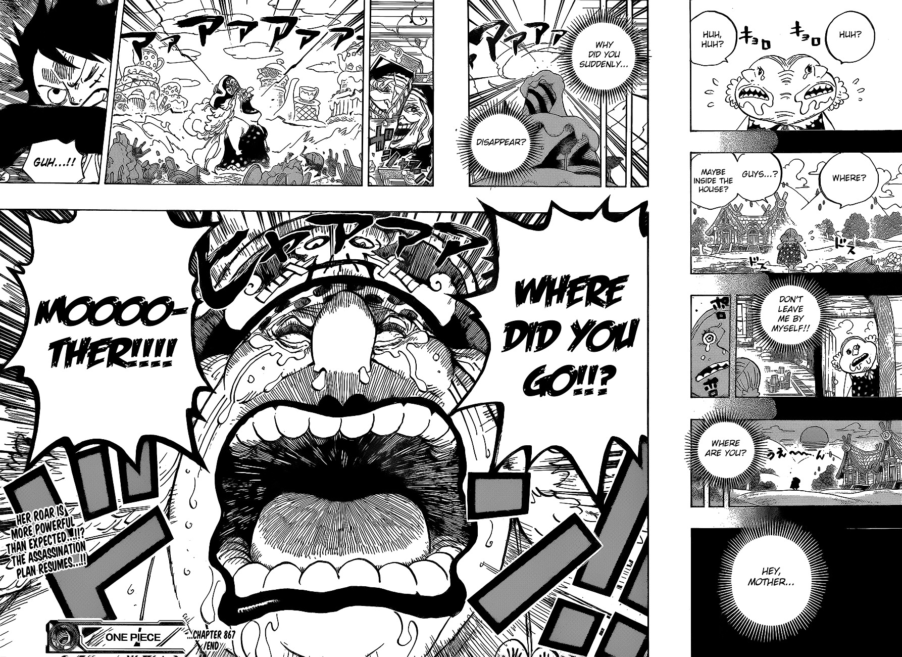 One Piece chapter 867 v2 - page 15