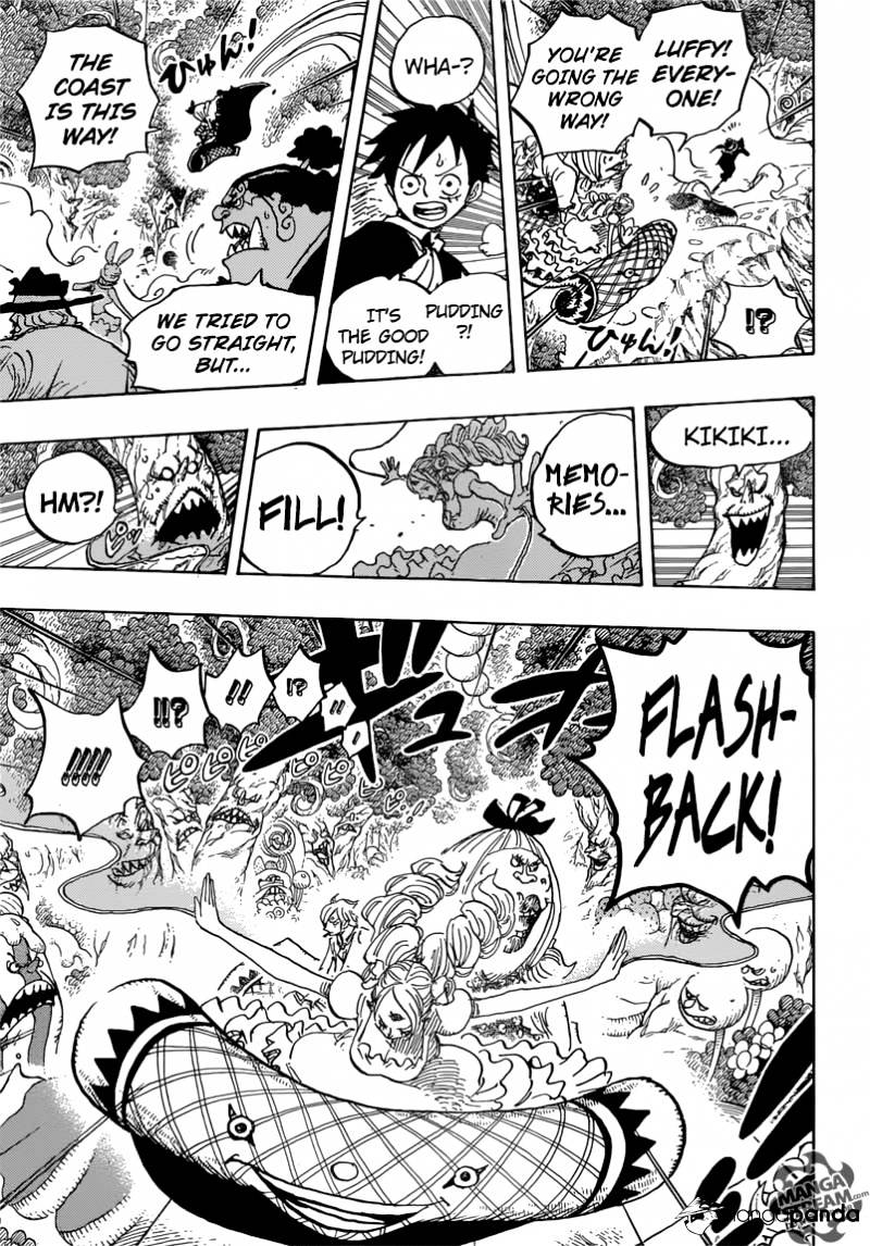 One Piece chapter 876 - page 14