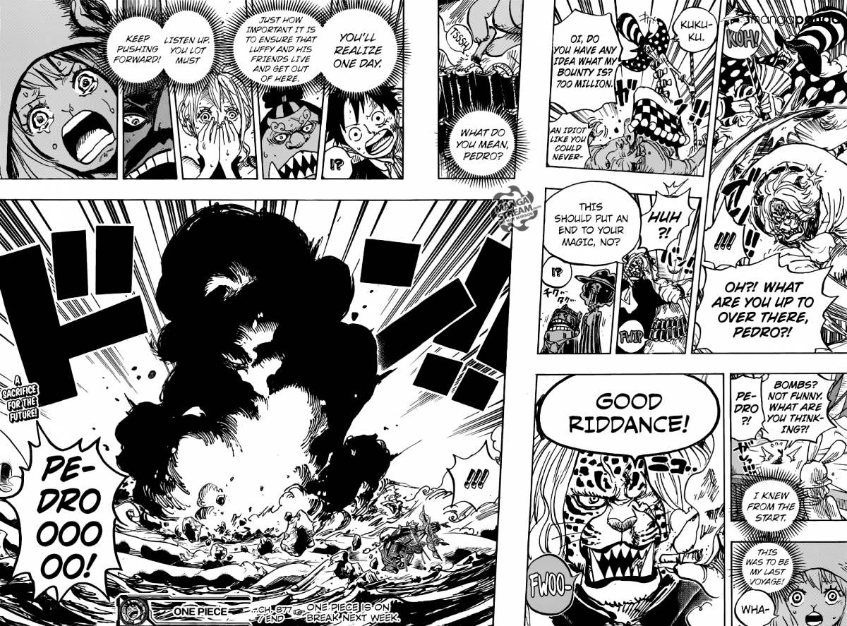 One Piece chapter 877 - page 17