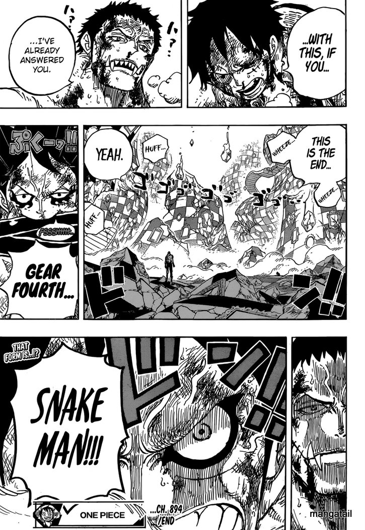 One Piece chapter 894 - page 17