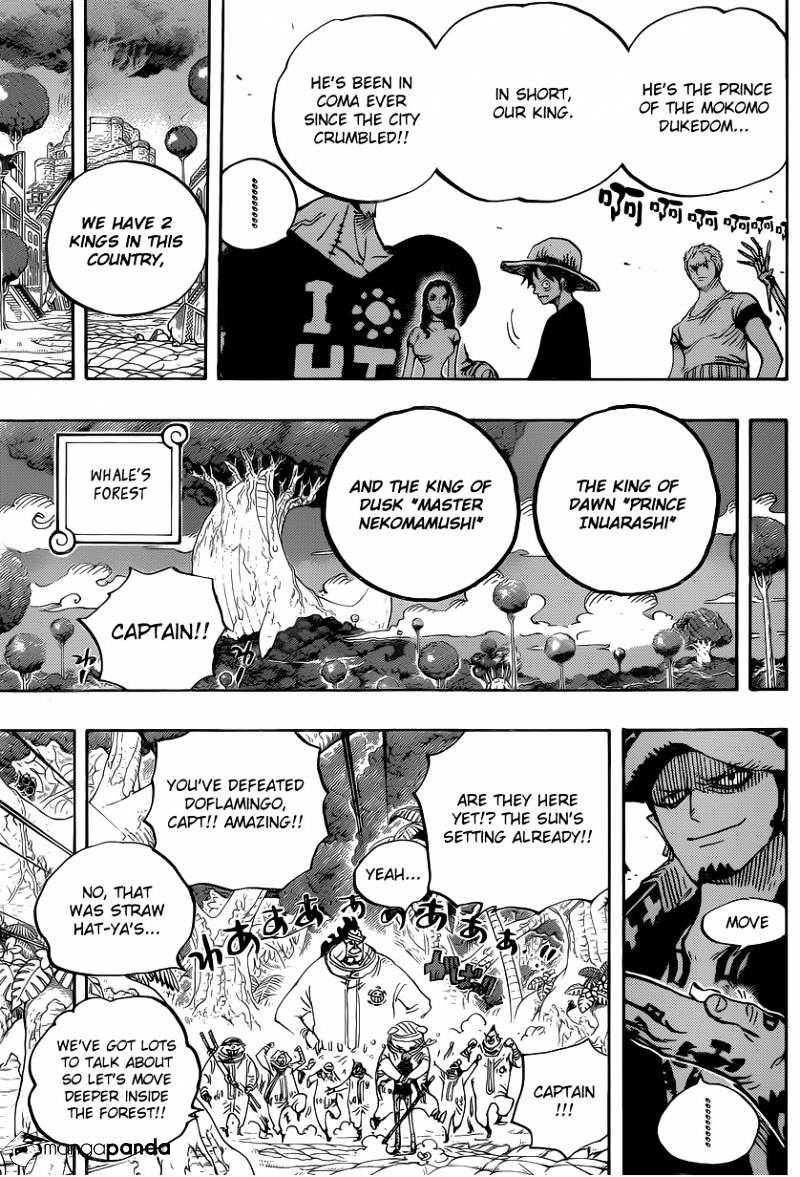 One Piece chapter 807 - page 14