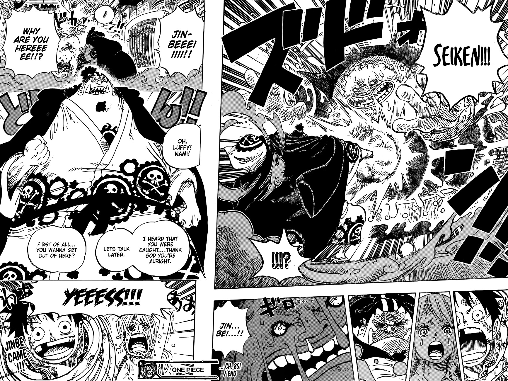 One Piece chapter 851 v2 - page 17