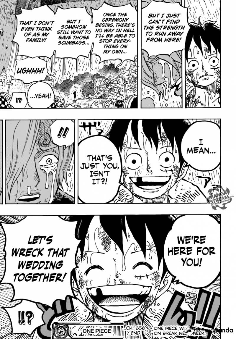 One Piece chapter 856 - page 17