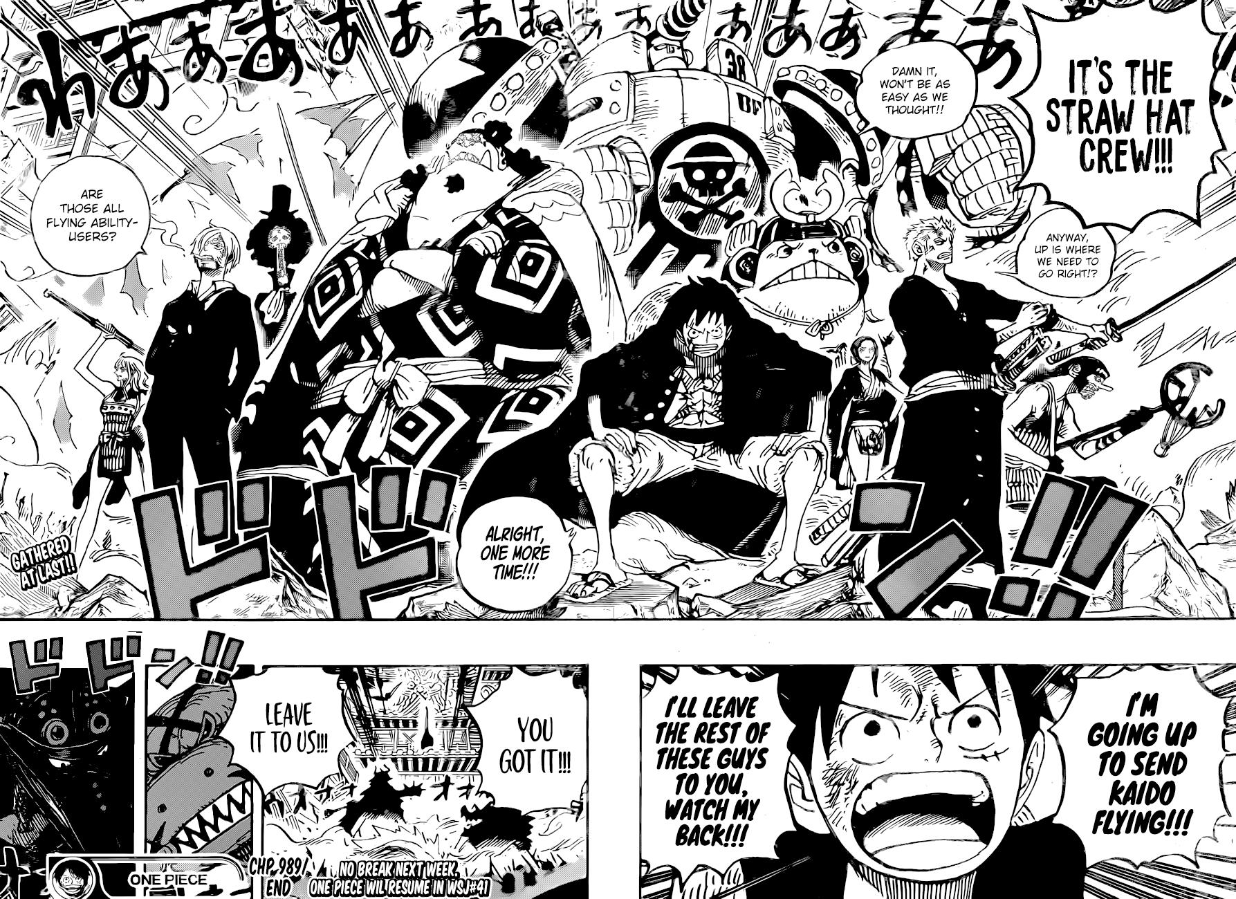 One Piece chapter 989 - page 14