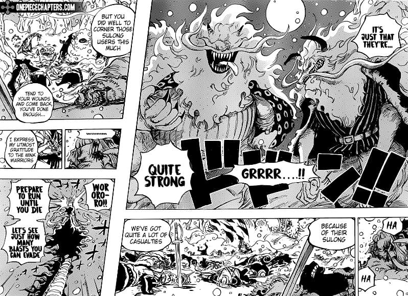 One Piece chapter 991 - page 14