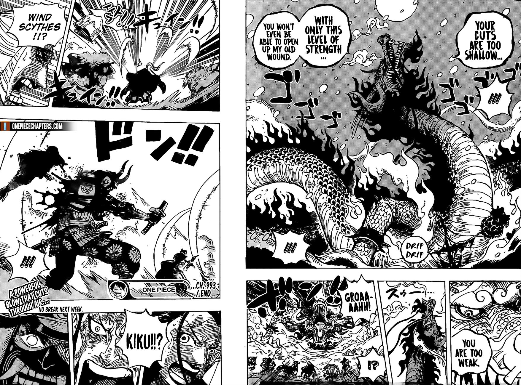One Piece chapter 993 - page 15