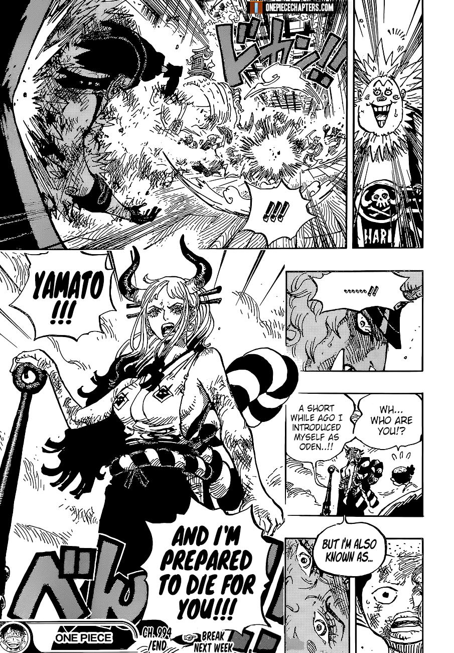 One Piece chapter 994 - page 16