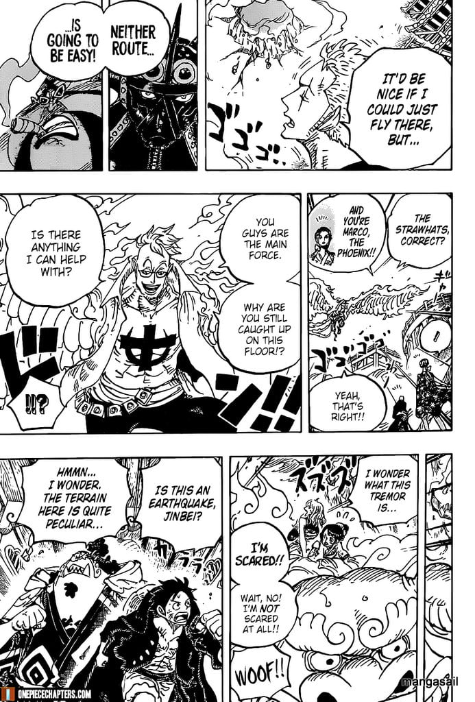 One Piece chapter 997 - page 14