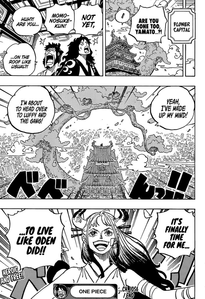 One Piece chapter 1056 - page 19