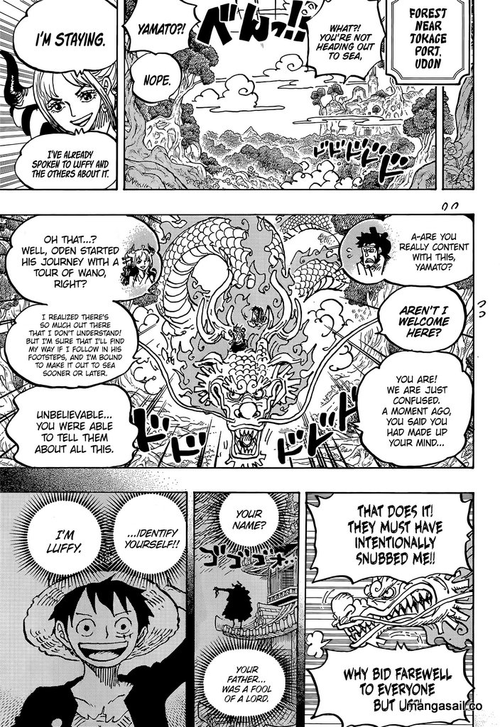 One Piece chapter 1057 - page 5