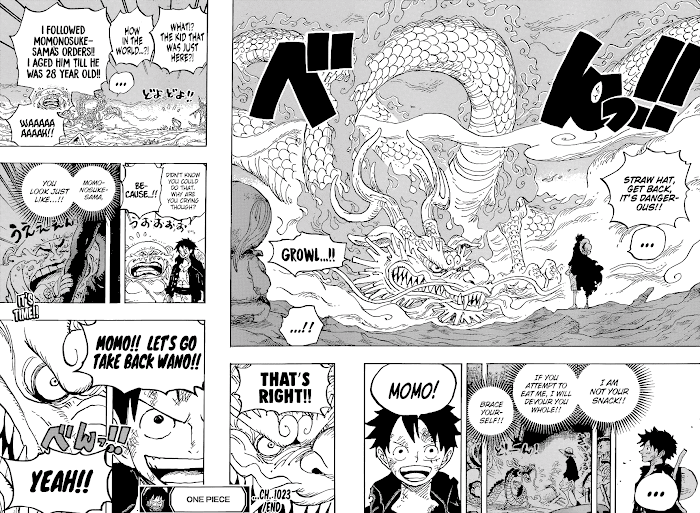 One Piece chapter 1023 - page 18