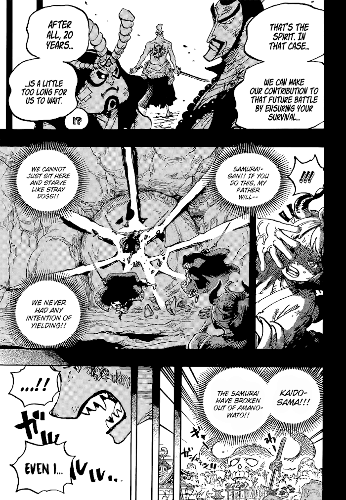 One Piece chapter 1024 - page 18