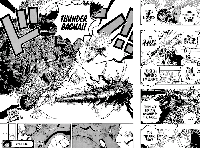 One Piece chapter 1024 - page 19
