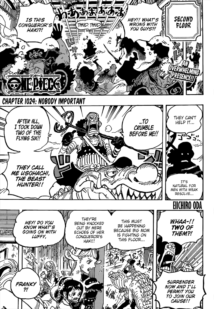 One Piece chapter 1024 - page 4