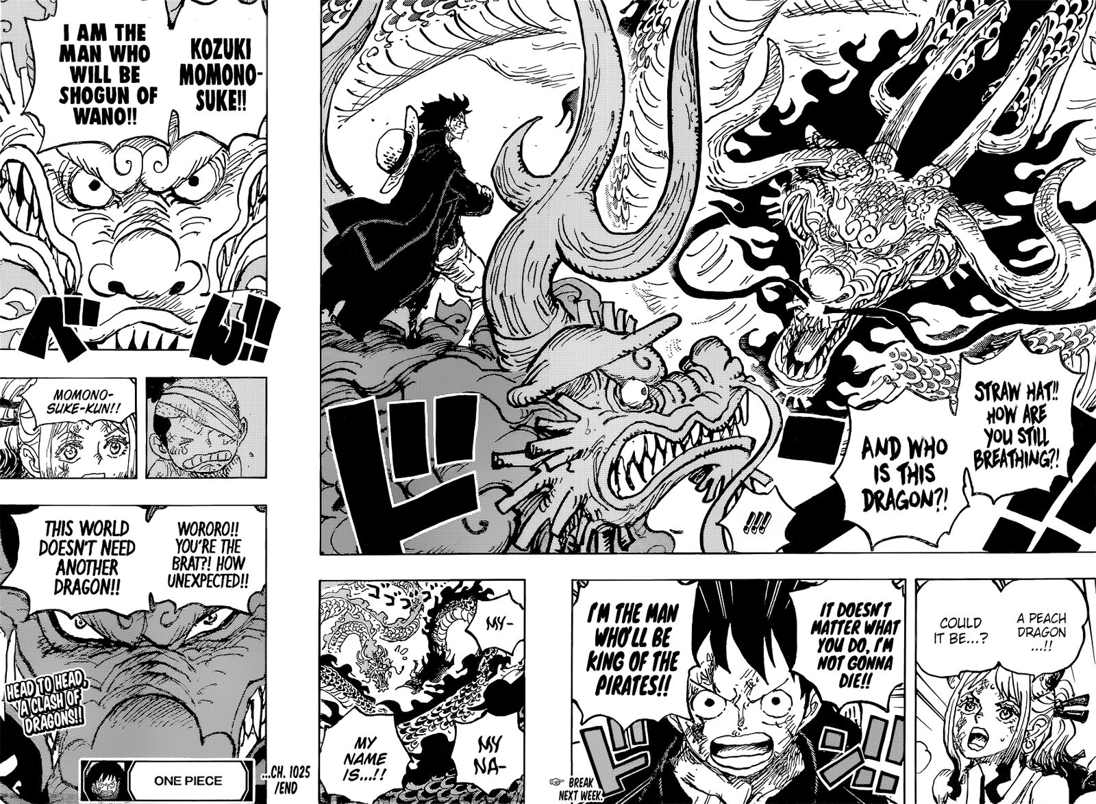One Piece chapter 1025 - page 15
