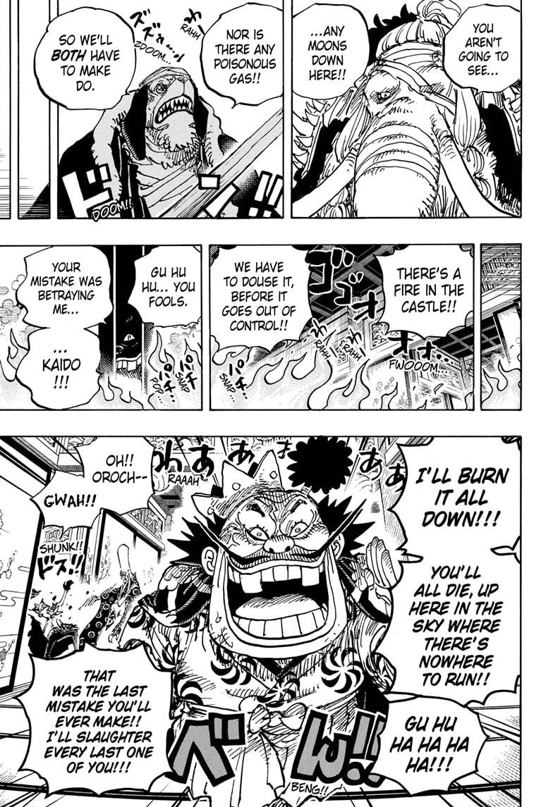 One Piece chapter 1008 - page 13