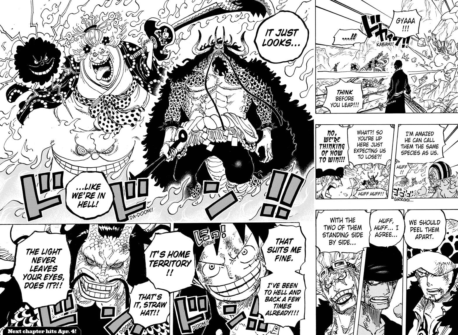 One Piece chapter 1008 - page 17